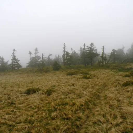 Fotogaléria