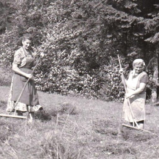 Fotogaléria