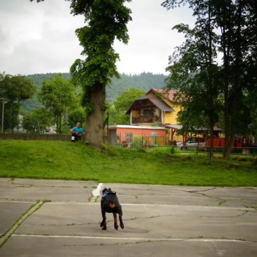 Fotogaléria